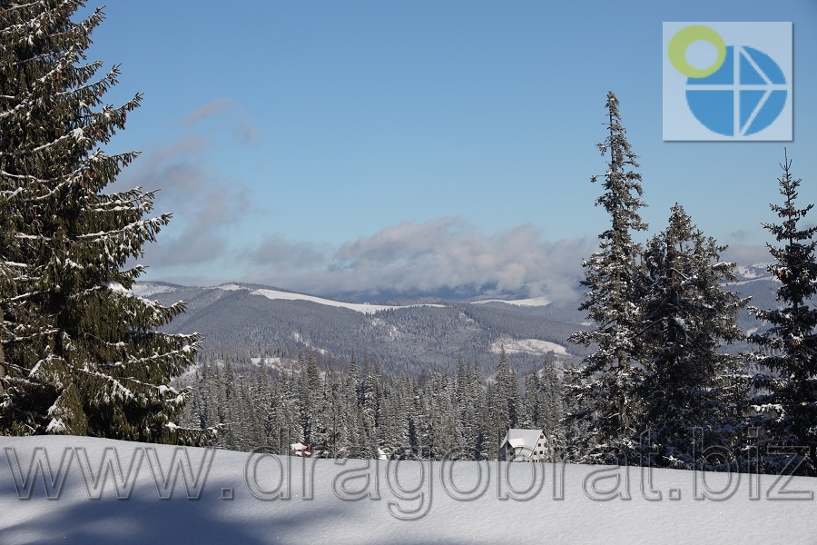 Драгобрат.Котеджі Family home