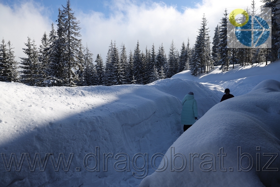 Драгобрат.Котеджі Family home