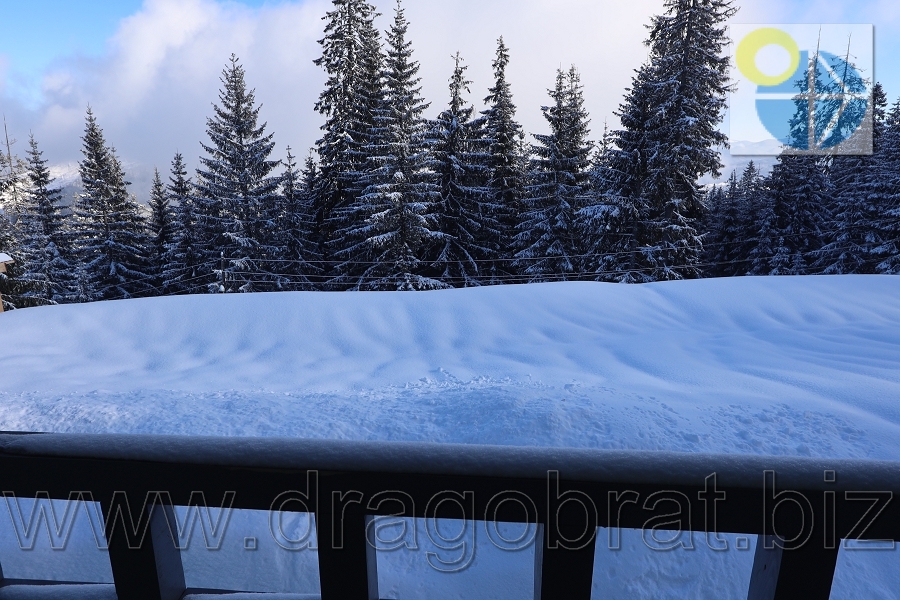 Драгобрат.Котеджі Family home