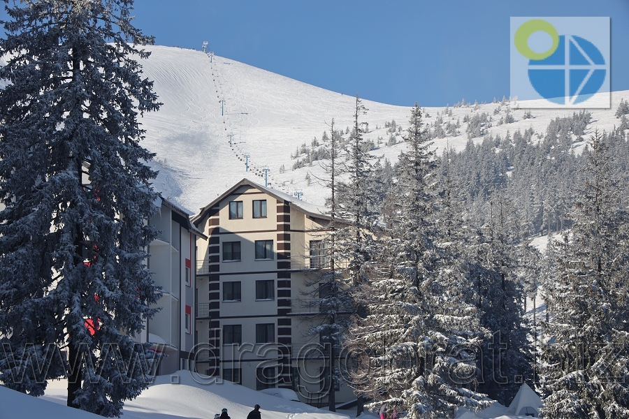 Драгобрат.Готель Grand Lion