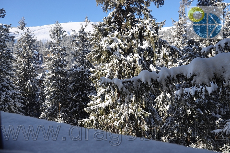 Драгобрат.Готель Grand Lion