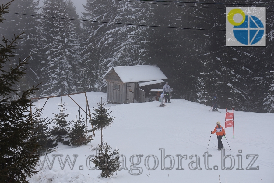 Драгобрат.Глемпінги Перлина Карпат