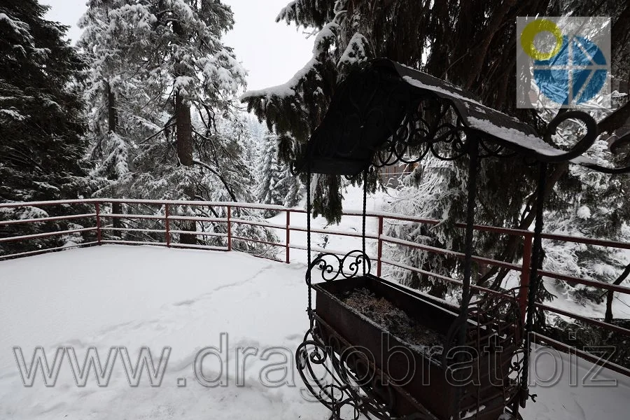 Готель Кушавель