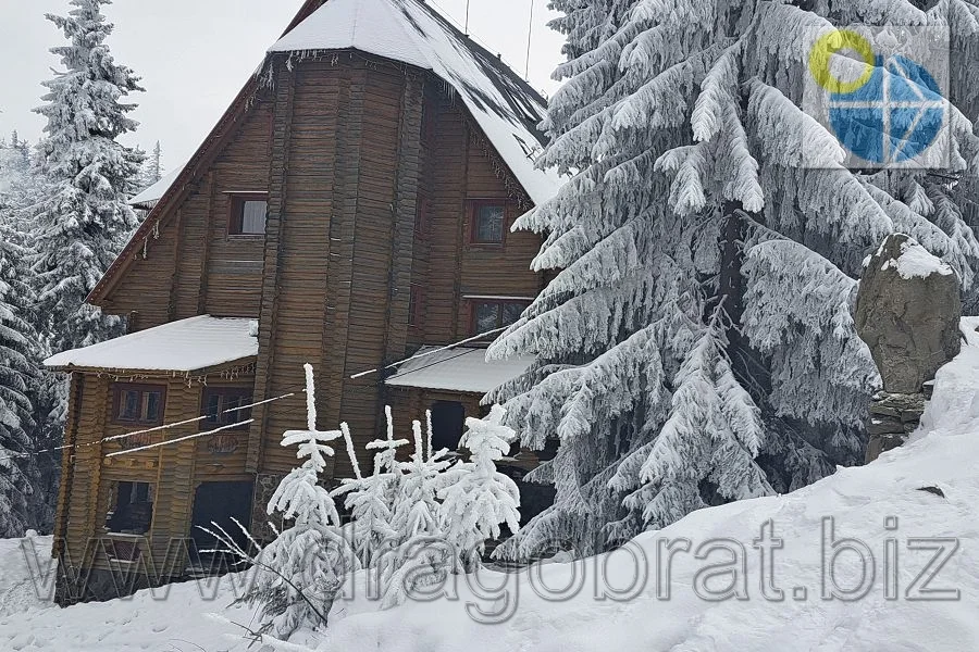 Драгобрат Готель Кушавель.