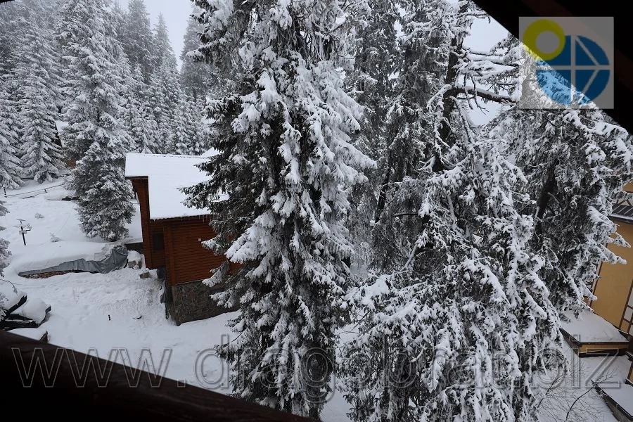 Драгобрат.Готель Маріка