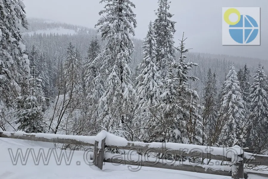 Драгобрат Готель Верховина.