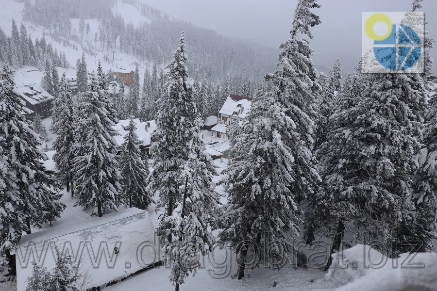 Драгобрат Готель  Хата Магната.