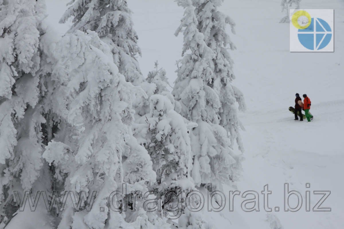 Фото.Драгобрат.