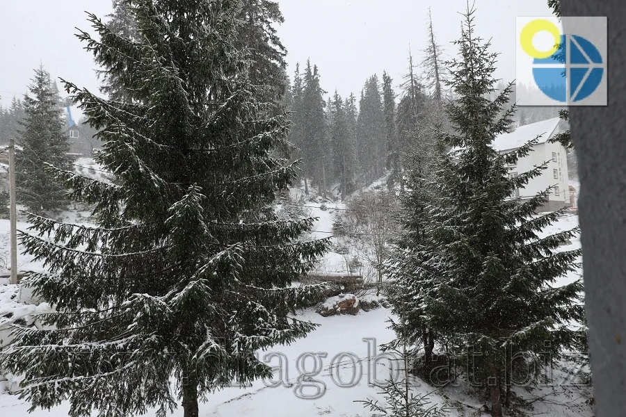 Драгобрат Готель Полонина.